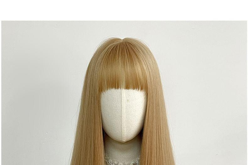 Long Full Wig - Straight Product Image