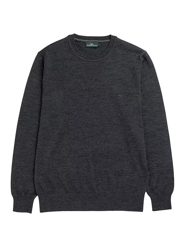 Ferndale Wool Crewneck Sweater Product Image