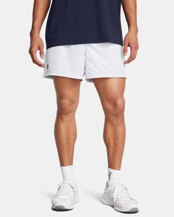 Mens UA Icon Mesh Shorts Product Image