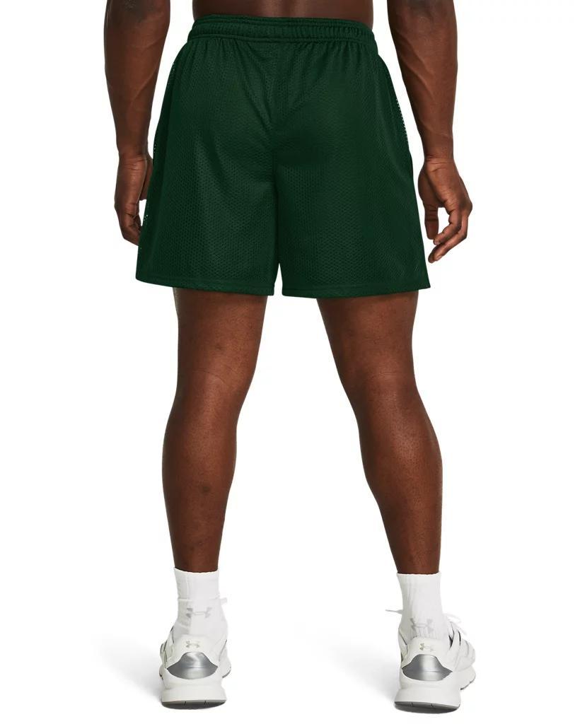 Men's UA Icon Mesh Shorts Product Image