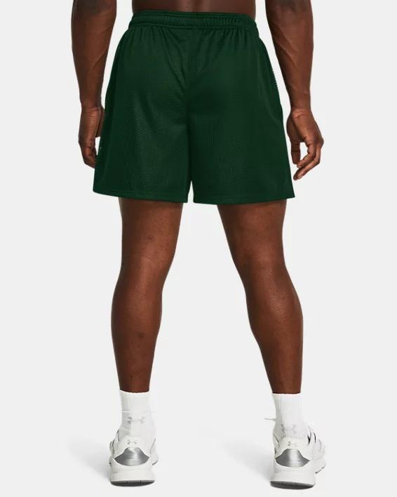 Men's UA Icon Mesh Shorts Product Image