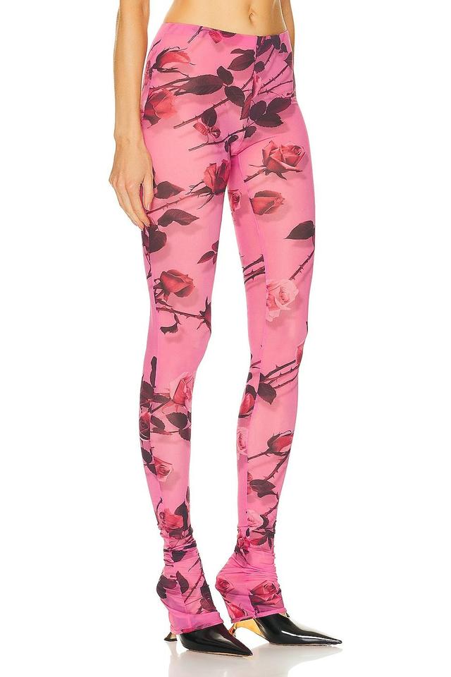 Blumarine Mesh Leggings in Pink Product Image