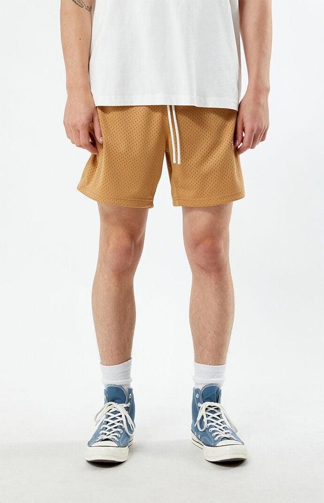 By PacSun Ride Mesh Shorts Product Image