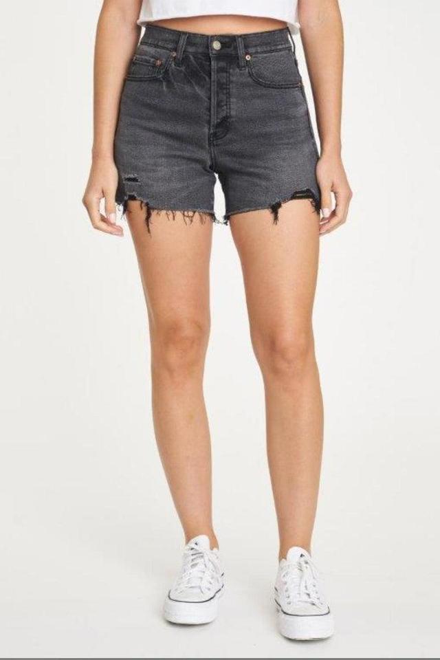 Bottom Line High Rise Vintage Shorts Product Image