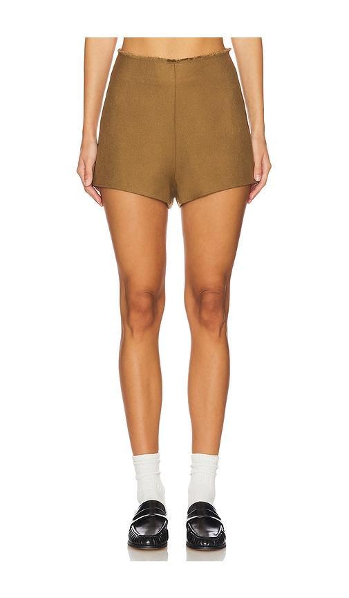 Tiana Shorts Product Image