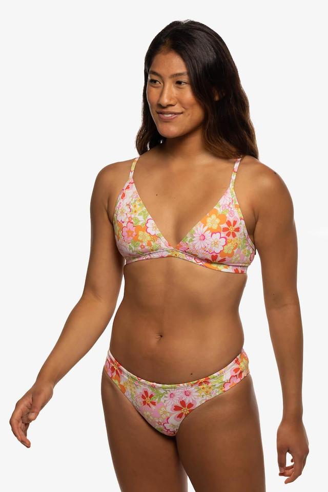 Koa Bikini Bottom - Stella Female Product Image