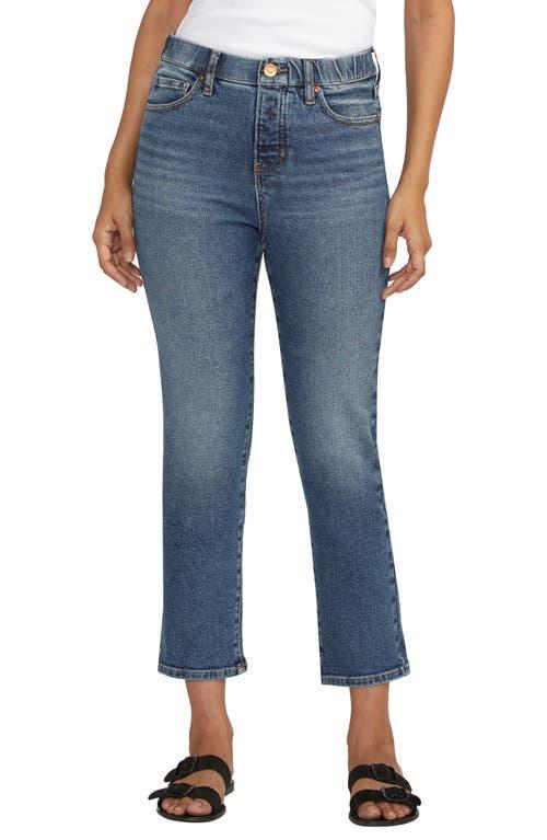 Jag Jeans Valentina Pull-On High Waist Crop Straight Leg Jeans Product Image