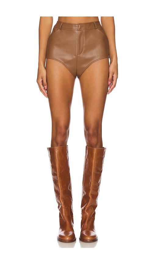 x REVOLVE Hot Shorts Product Image