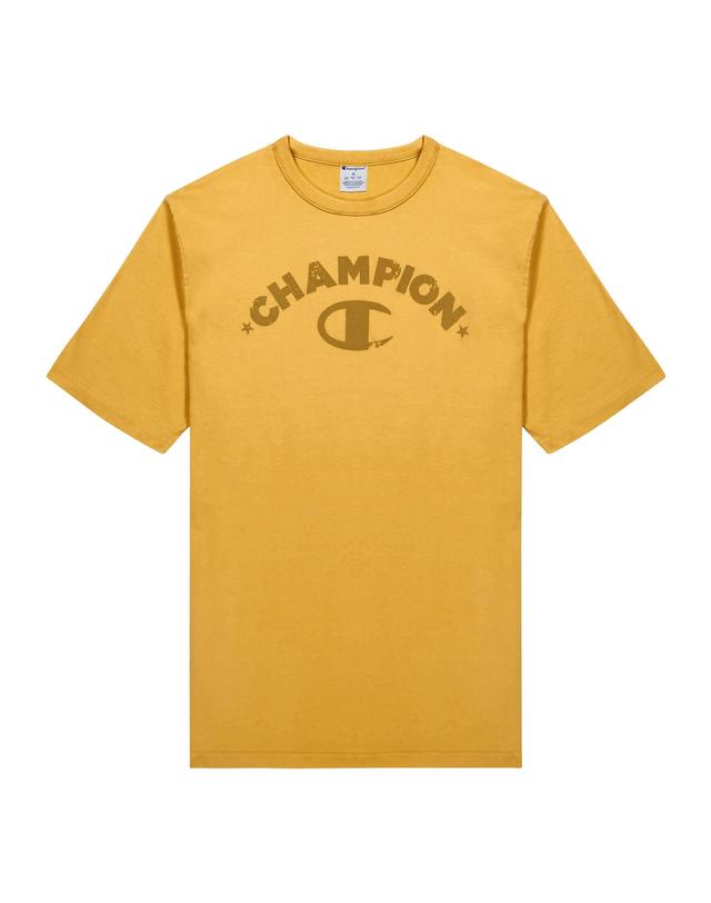 Mens Graphic T-Shirt, Vintage Wash, Tonal Arched Champion Logo Hytop Gold L Product Image