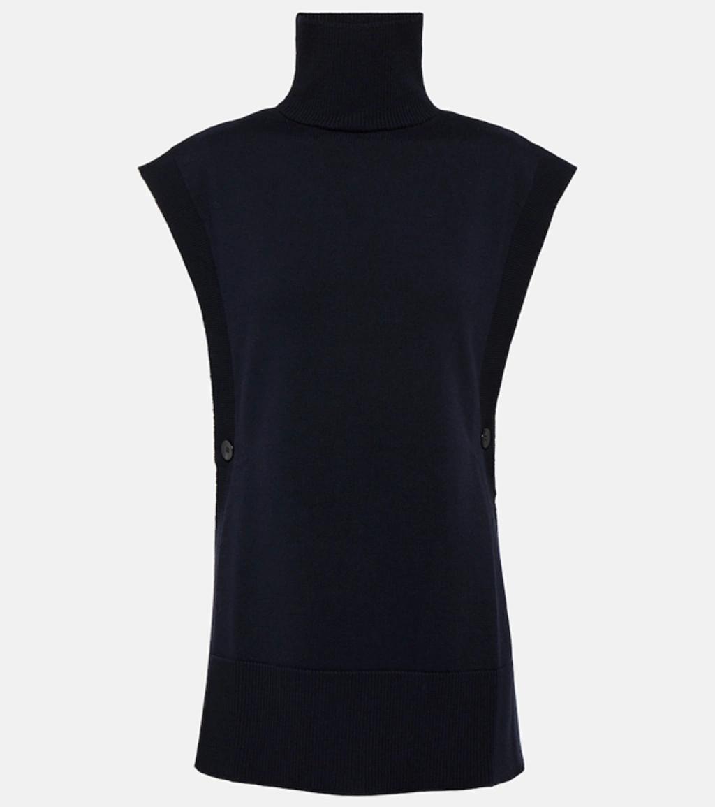 MAX MARA Leisure Esotico Virgin Wool Top In Blue Product Image