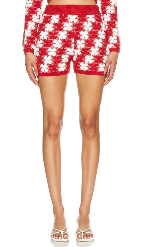 Heart Clover Shorts Product Image