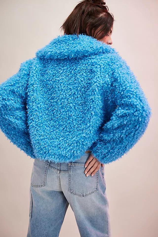 Cool & Cozy Teddy Coat Product Image