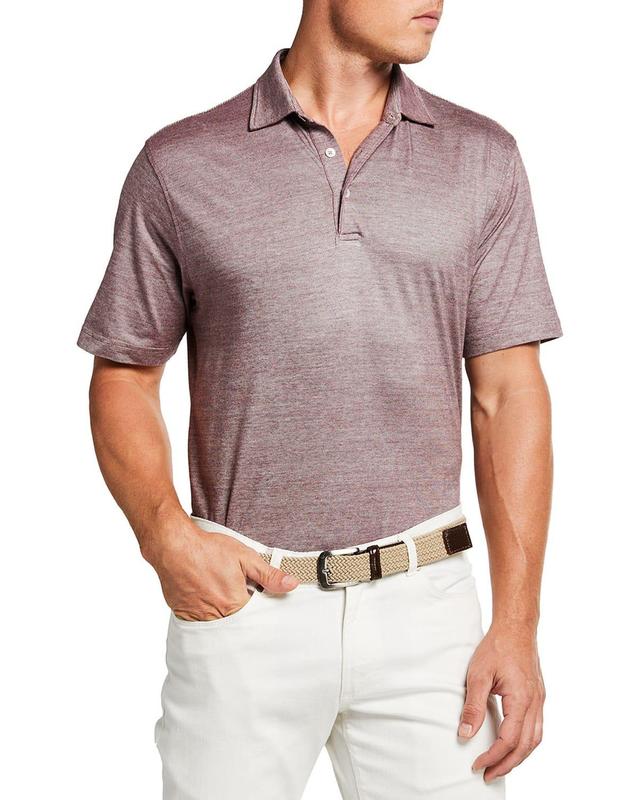 Mens Striped Knit Polo Shirt Product Image