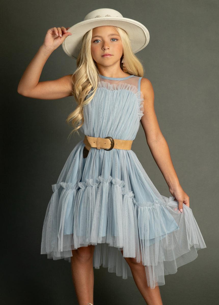 Loie Dress in Blue Smoke Product Image