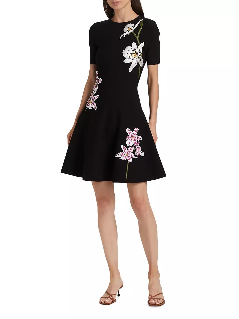 Floral-Embroidered Minidress Product Image