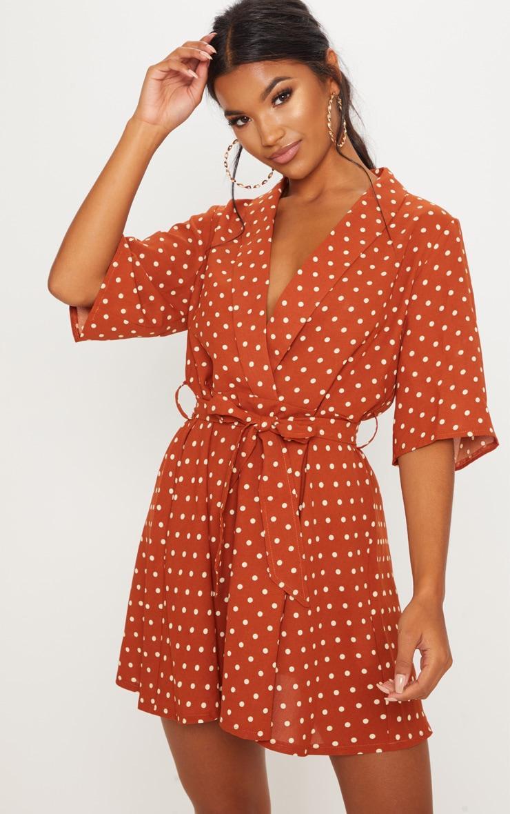 Terracotta Polka Dot Tea Dress Product Image