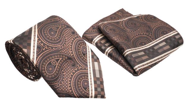 Brown Paisley Pattern Diagonal Men's Classic Tie and Pocket Square Set Male Product Image