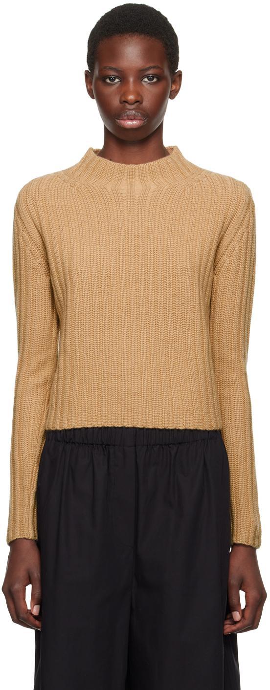 MAX MARA Aloa Wool Cashmere Sweater In Camel Product Image