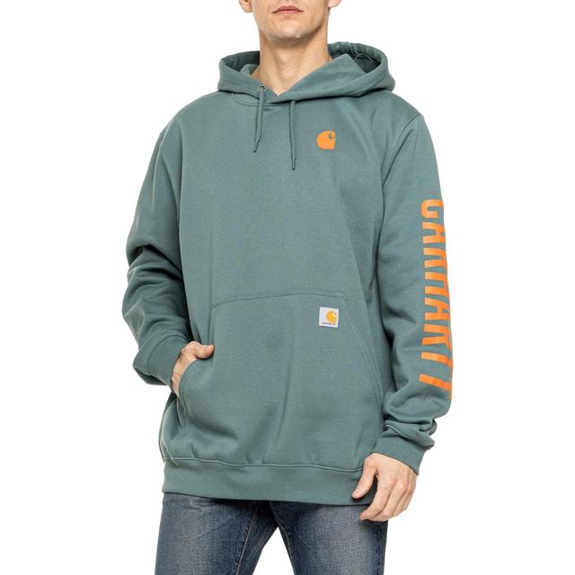 Carhartt 105940 Rain Defender® Loose Fit Midweight Graphic Hoodie - Factory Seconds Product Image