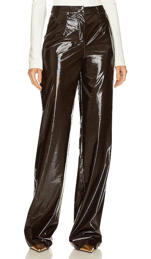 Straight Leg Shiny Pants Product Image