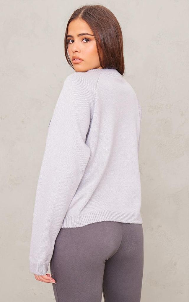 PLT SPORT Grey Knitted Sweatshirt Product Image