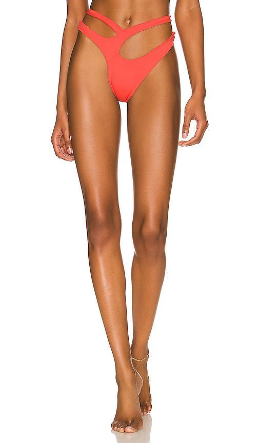 Cora Cutaway Bikini Bottom Product Image