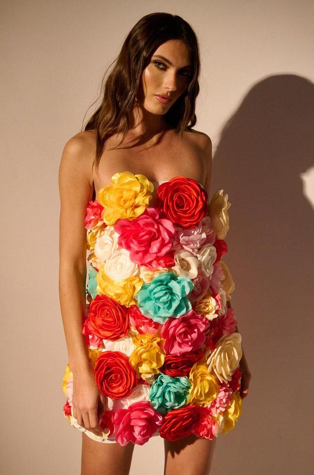 FLOWER POWER MINI DRESS Product Image