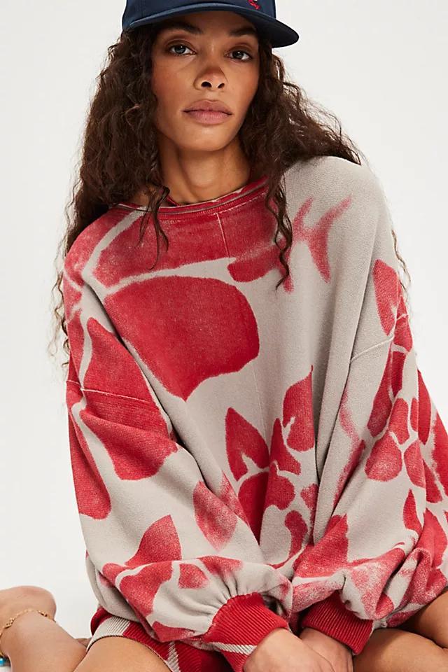 We The Free Painters Garden Pullover Product Image