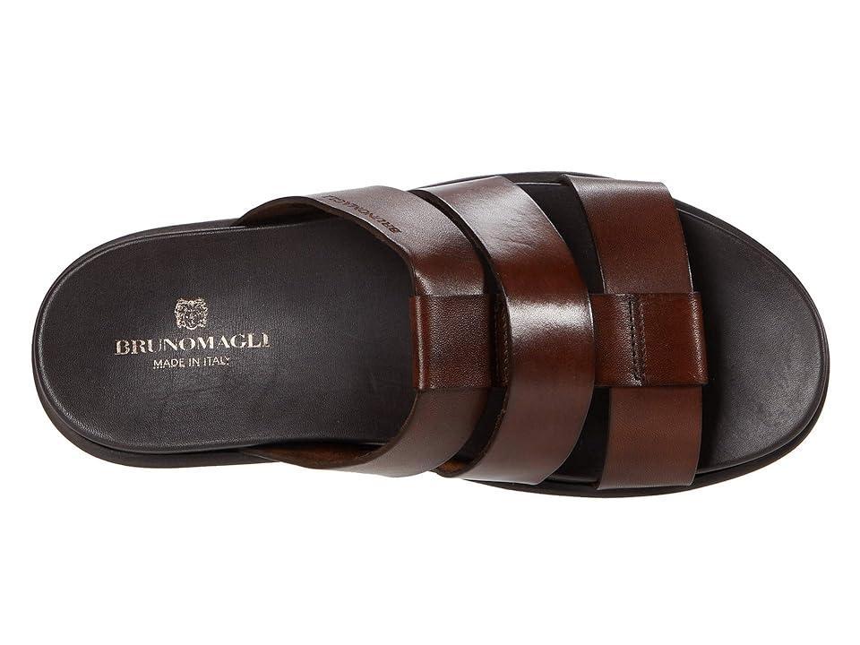 Bruno Magli Empoli (Dark ) Men's Shoes Product Image