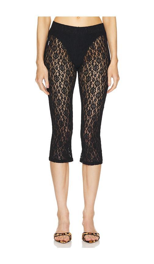 Lace Capri Product Image