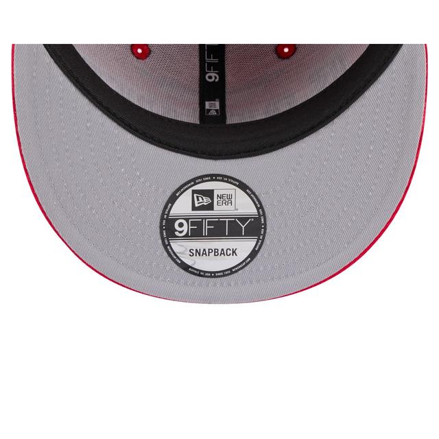 Toronto Raptors Throwback Display 9FIFTY Snapback Hat Male Product Image