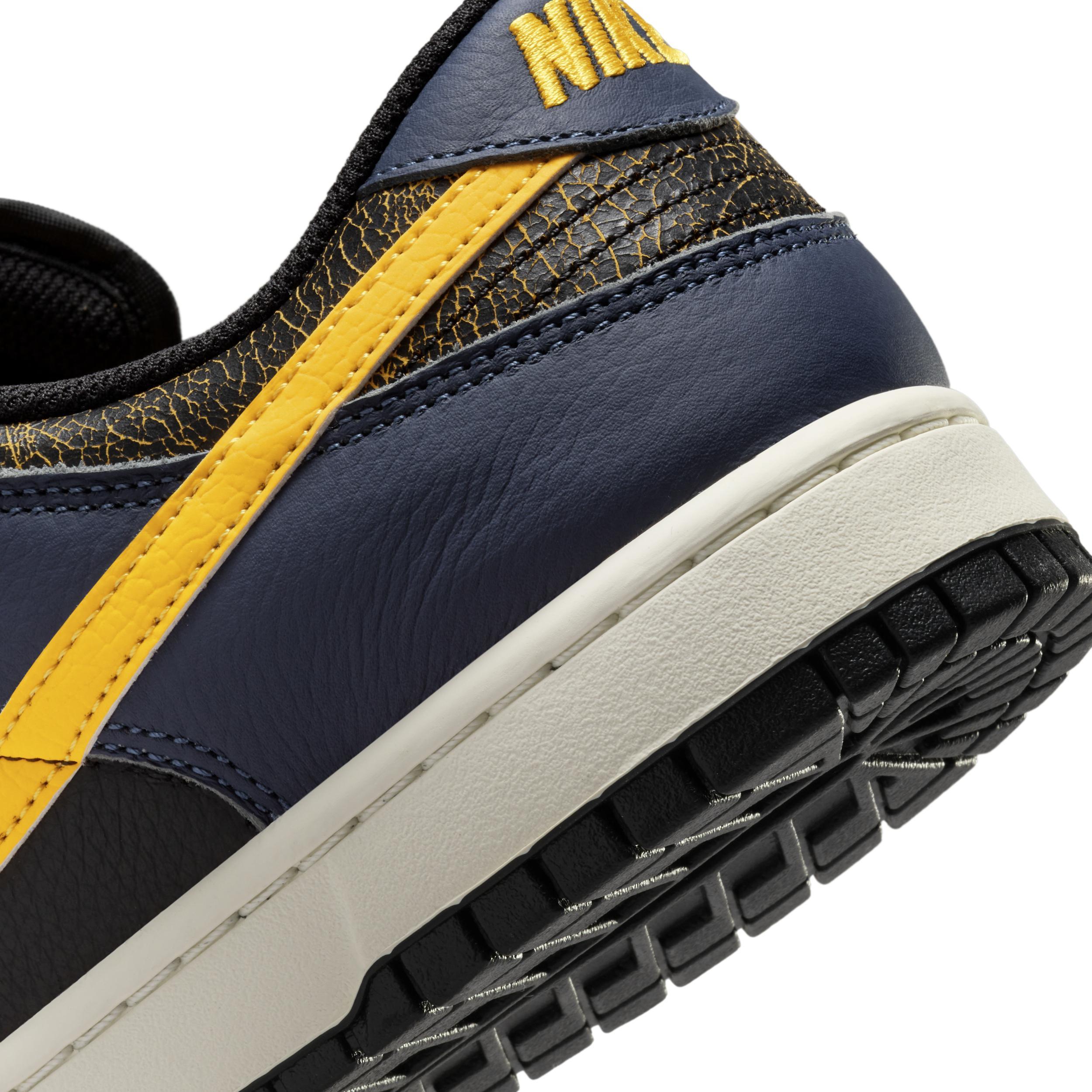 Nike Men's Dunk Low Retro Shoes Product Image