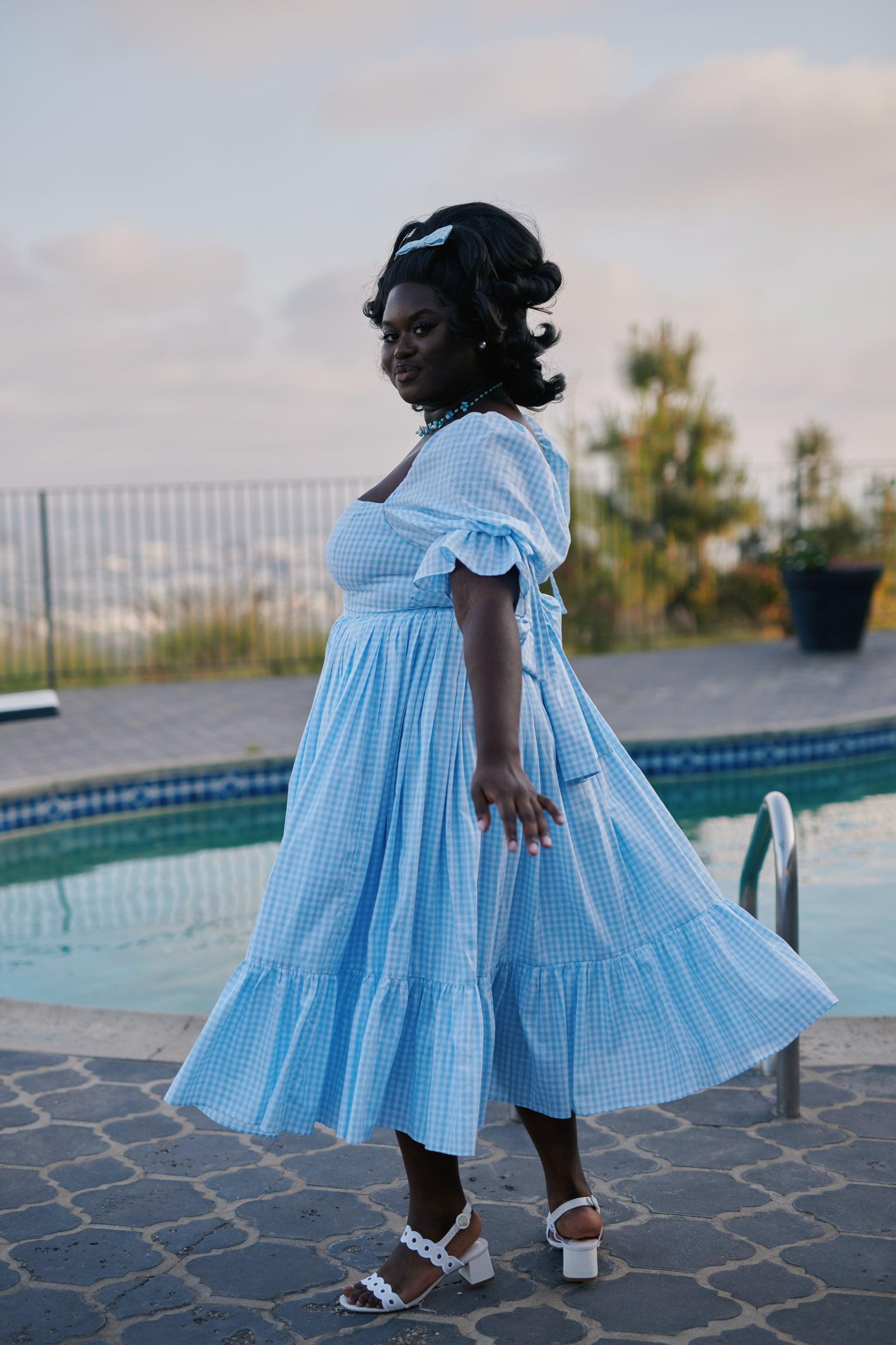 The Blue Gingham Market Dress Product Image