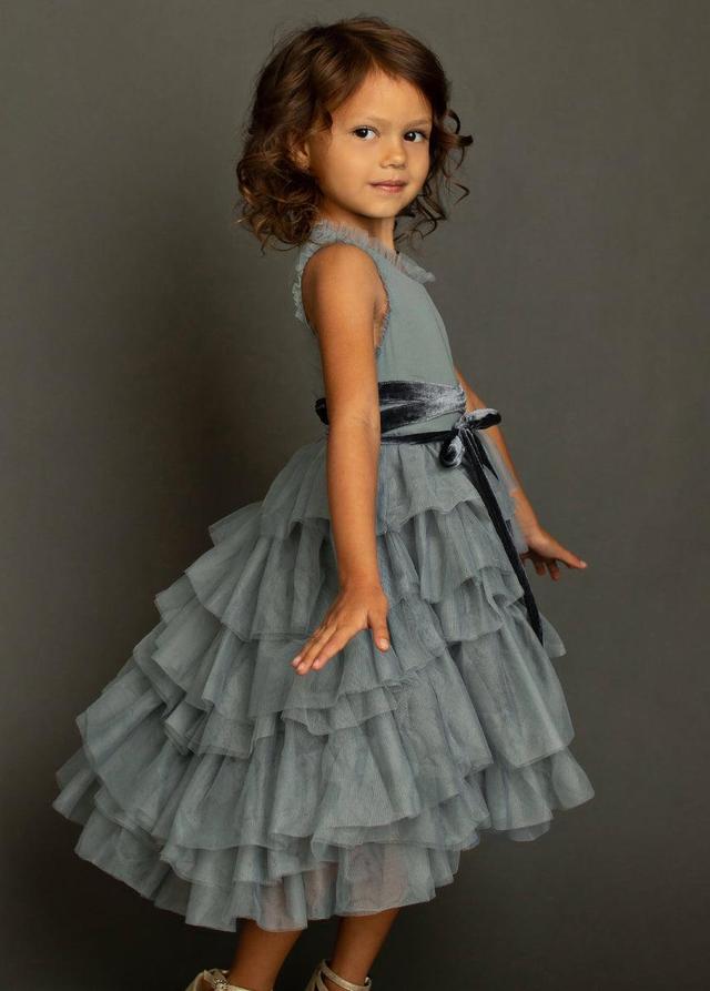 Geneva Petticoat Dress in Dusty Blue Product Image