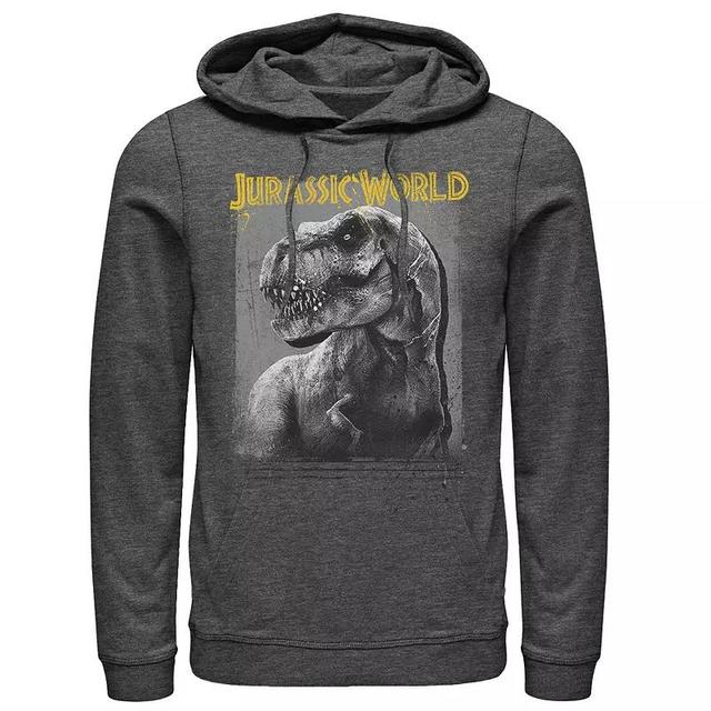 Mens Jurassic World T-Rex Profile Shading Graphic Pullover Hoodie Grey Heather Product Image