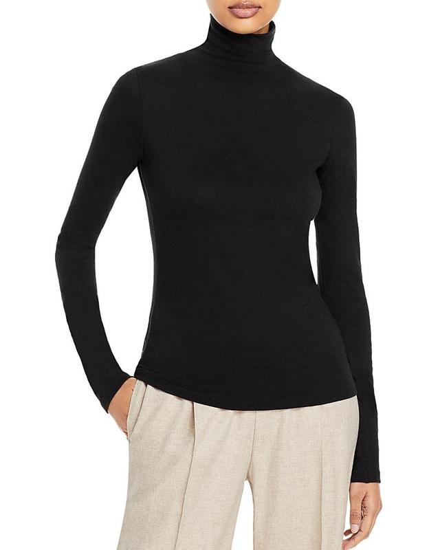 Womens Essential Turtleneck Sweater Product Image