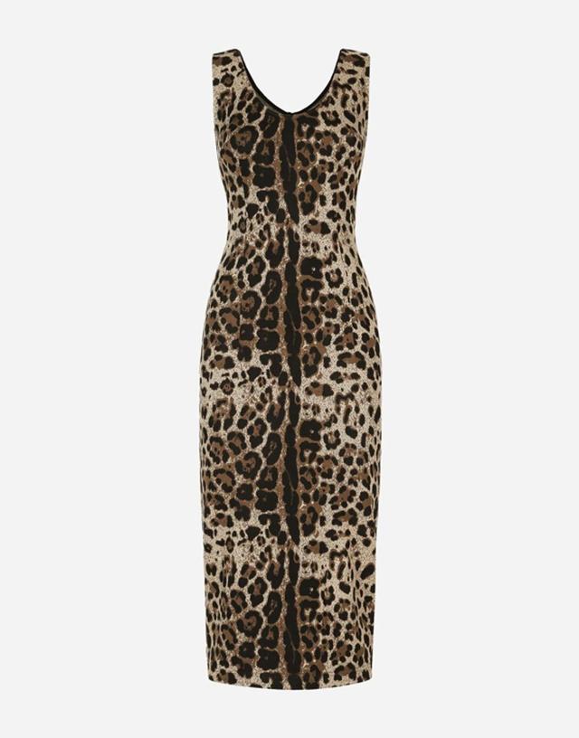 DOLCE & GABBANA Long Jersey Dress With Jacquard Leopard Design In Multi Product Image