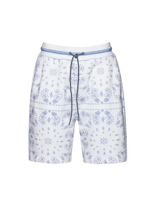 Mens Taj Shorts Product Image