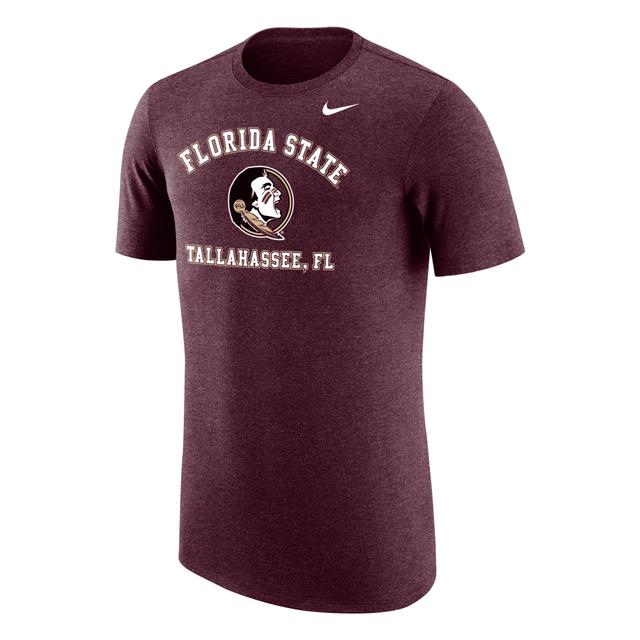 Florida State Nike Men's College T-Shirt Product Image