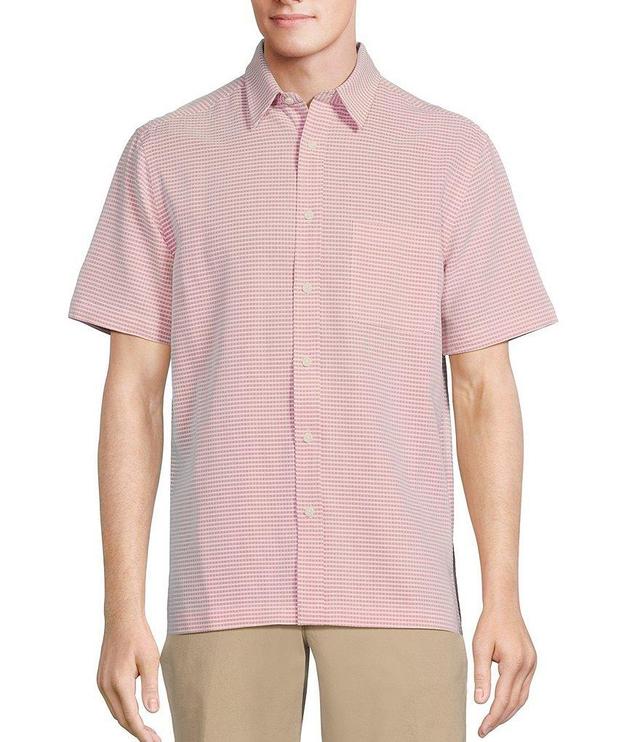 Roundtree & Yorke Short Sleeve Polynosic Dobby Horizontal Stripe Sport Shirt Product Image