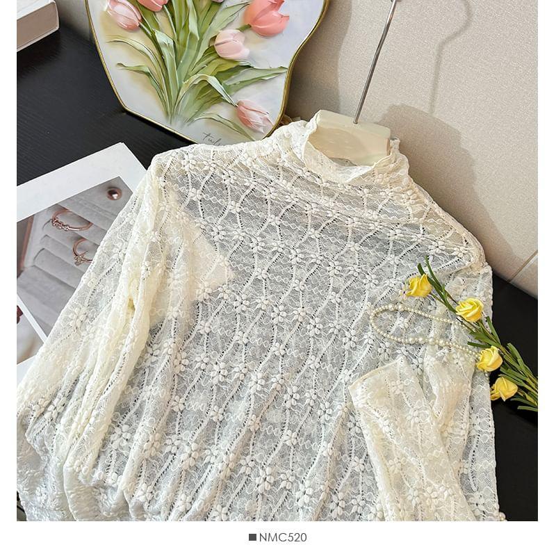 High-Neck Sheer Lace Top Product Image