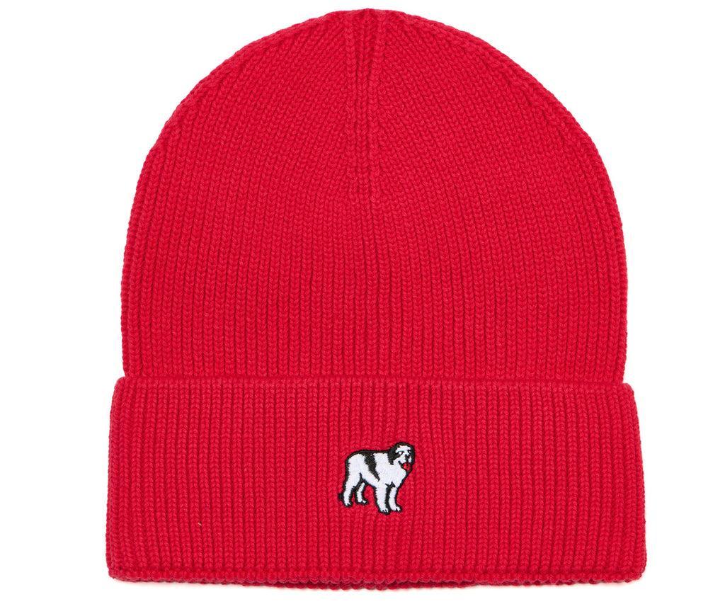 Icon Beanie Product Image