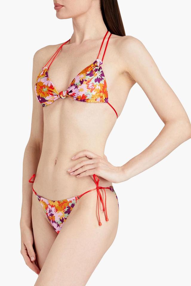 Violet Knotted Bikini In Multicolor Product Image