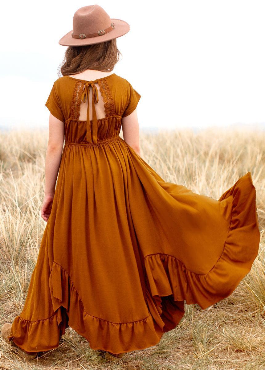 Braelyn Dress in Spice Product Image