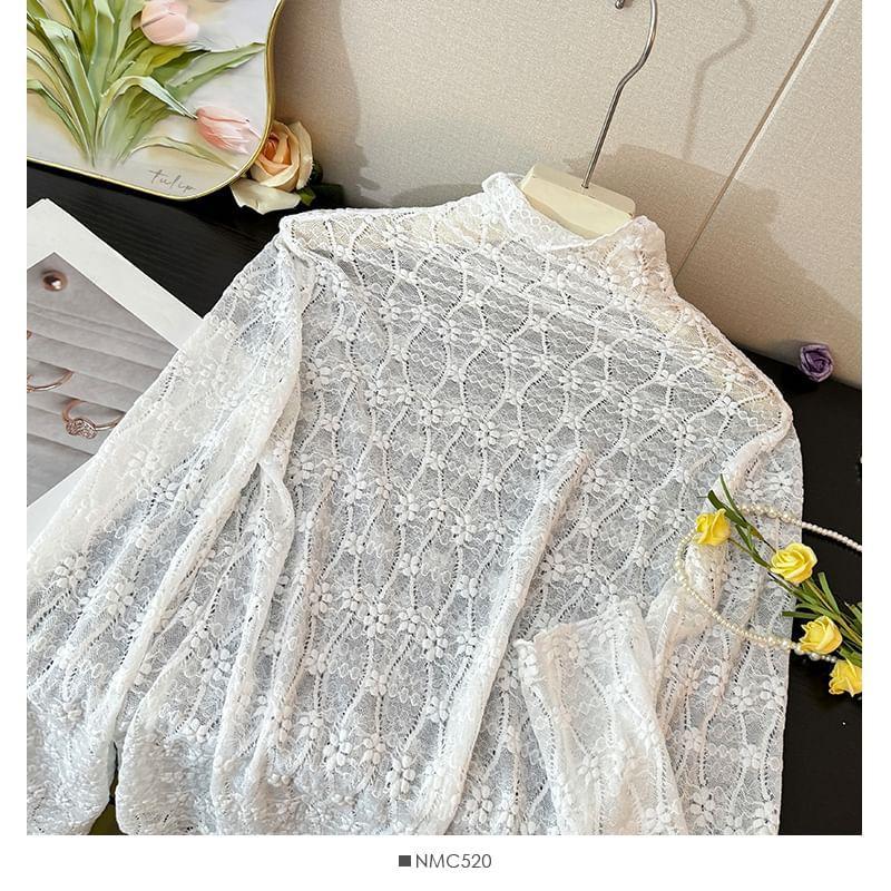 High-Neck Sheer Lace Top Product Image