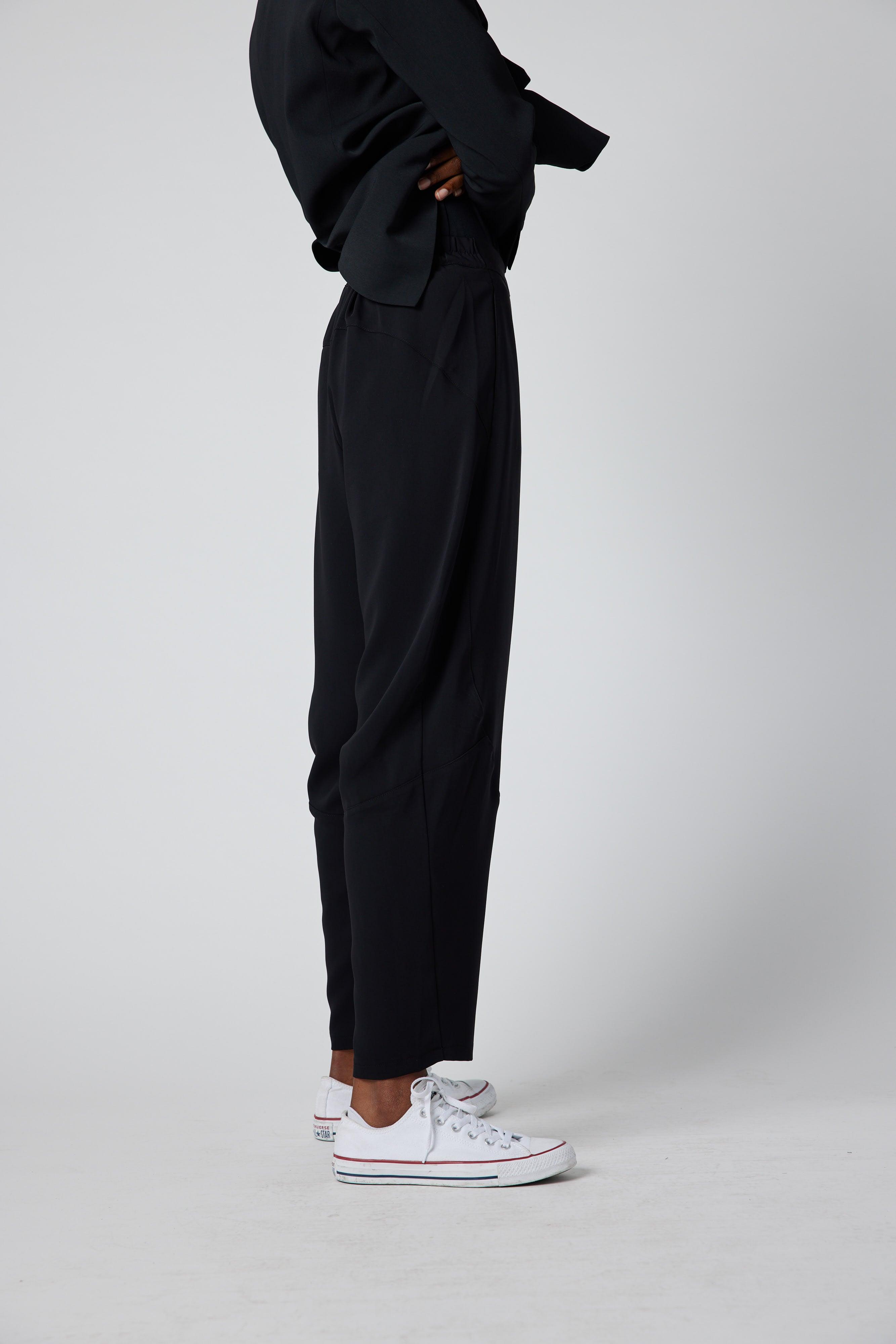 The Formal Wide-ish Pants Product Image