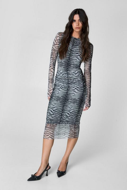 Animal Print Mesh Long Sleeve Maxi Dress Product Image