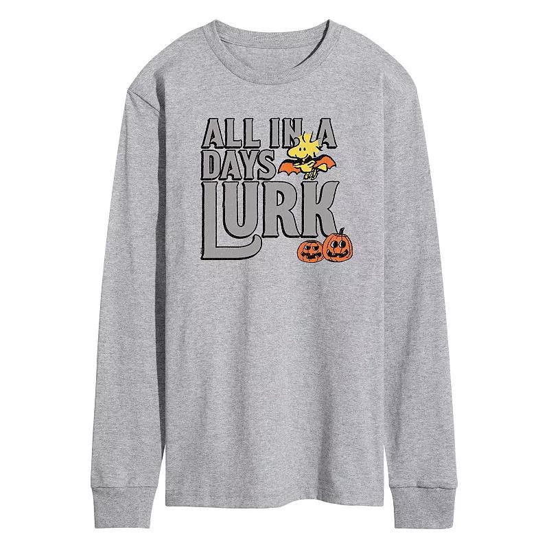 Mens Peanuts Days Lurk Tee Product Image