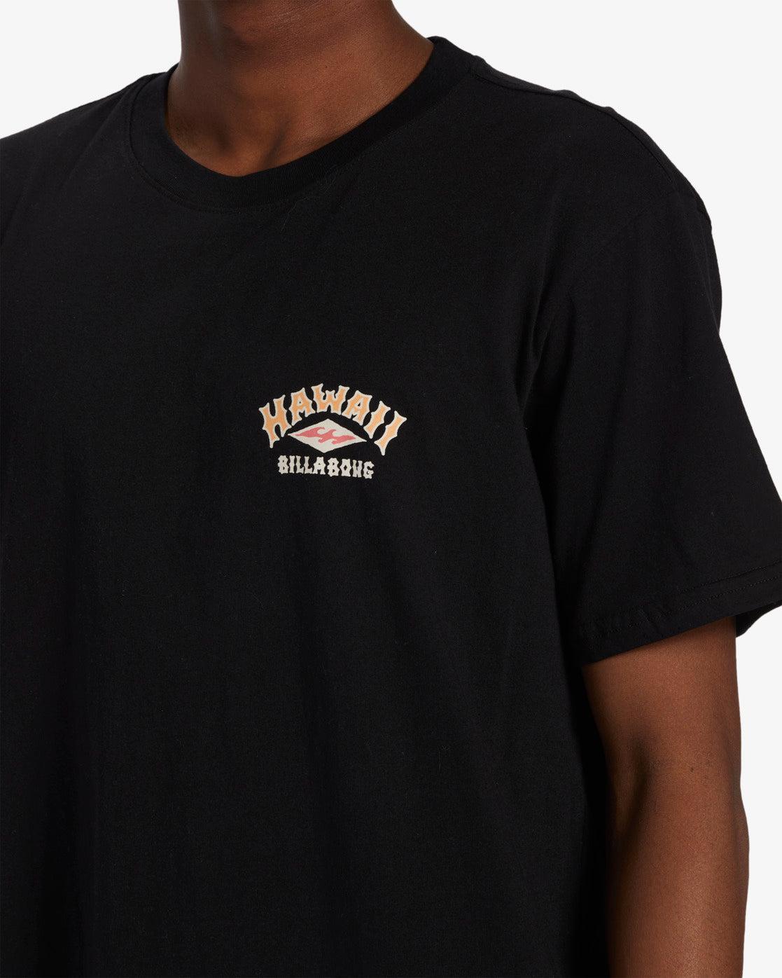 Arch Hawaii T-Shirt - Black Male Product Image