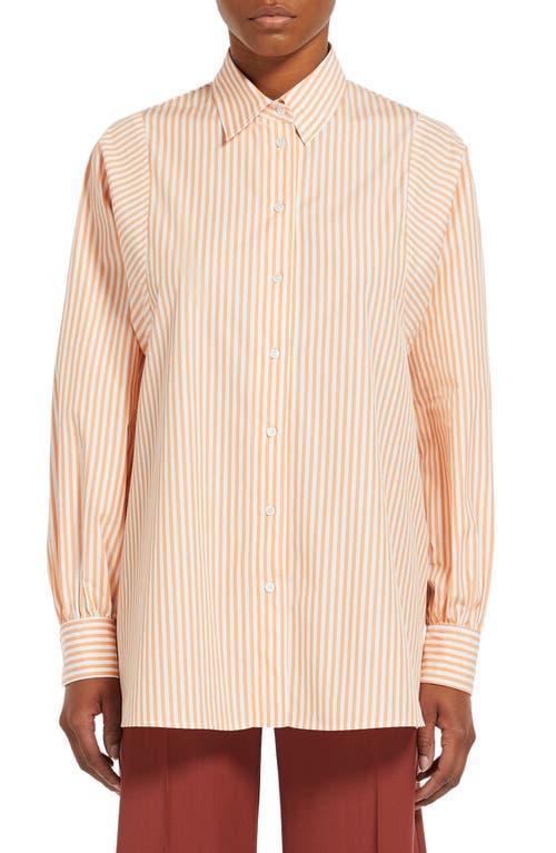 Weekend Max Mara Fufy Stripe Cotton Button-Up Shirt Product Image